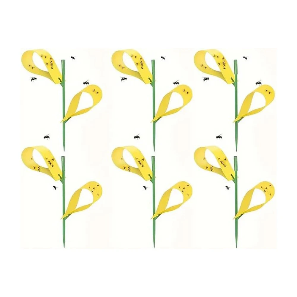 Sticky fly traps 10pk