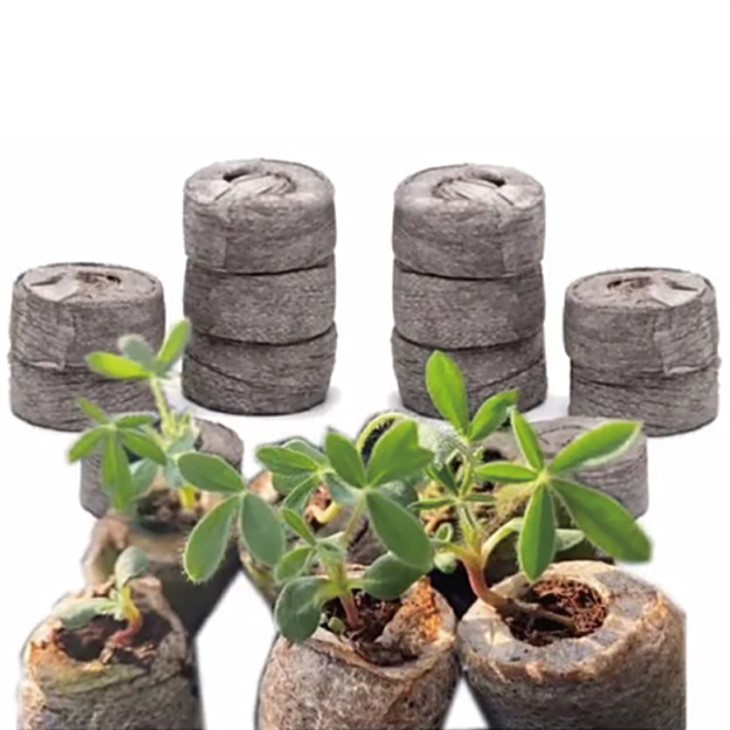 coco coir plugs 20pk