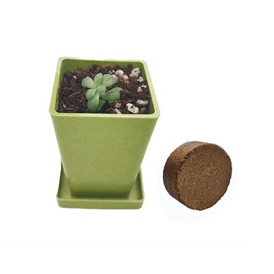 Mini štvorcový kvetináč z bambusového vlákna