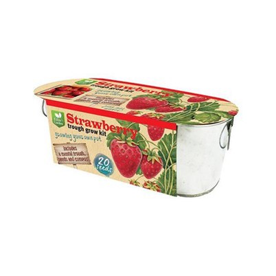 Súprava na pestovanie cez okno